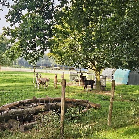 Ferienhaus Banana Lodge Bruchhausen-Vilsen Dış mekan fotoğraf