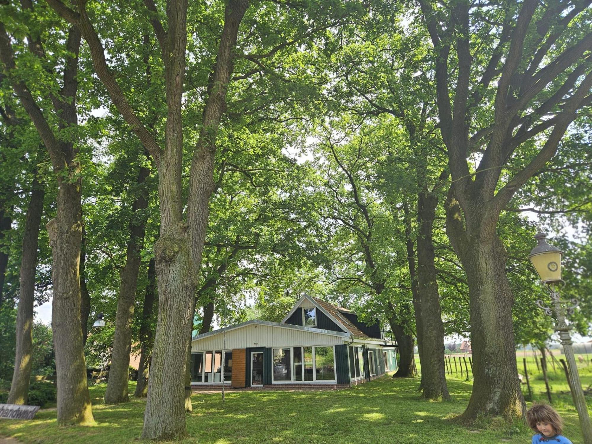 Ferienhaus Banana Lodge Bruchhausen-Vilsen Dış mekan fotoğraf