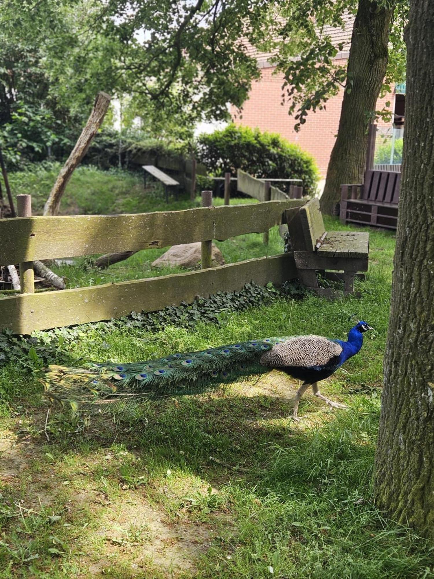 Ferienhaus Banana Lodge Bruchhausen-Vilsen Dış mekan fotoğraf