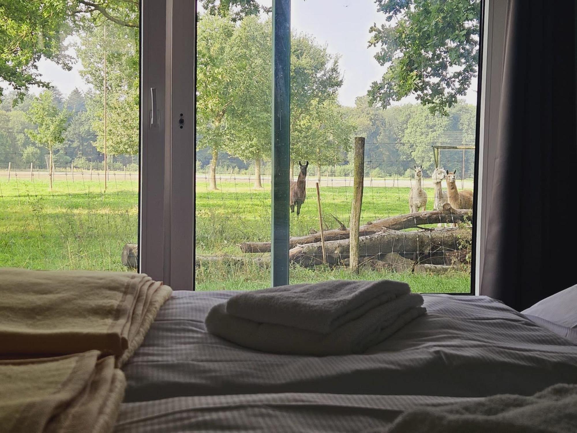 Ferienhaus Banana Lodge Bruchhausen-Vilsen Dış mekan fotoğraf